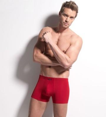 Panty Andy striped